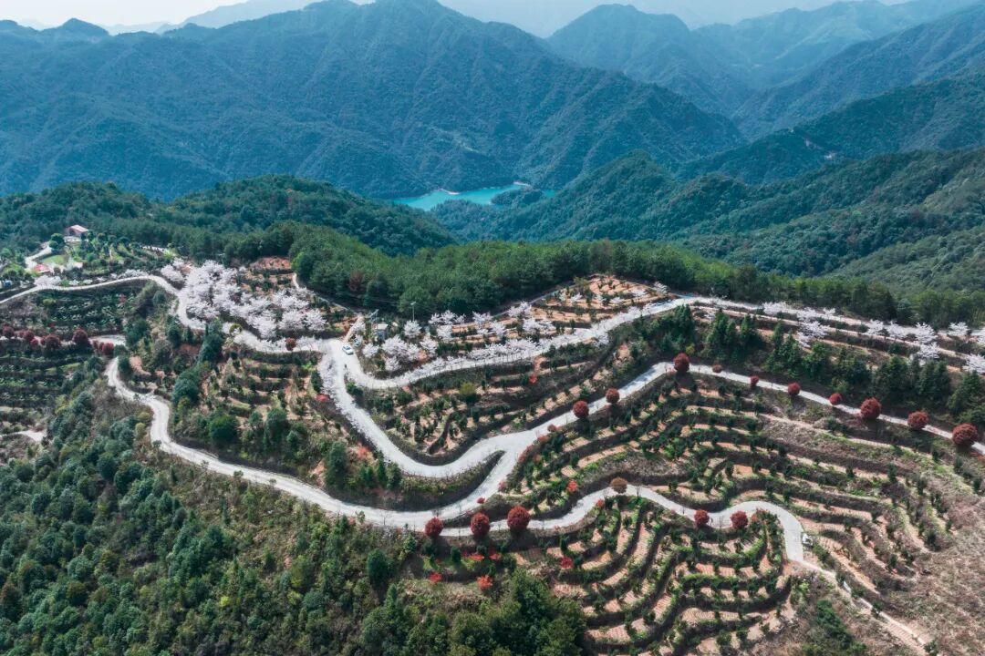 微信图片_20260909104930_74_2017.jpg