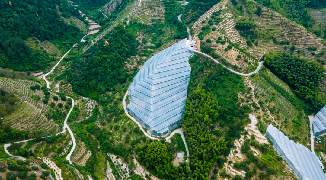 杨梅基地鸟瞰图.png
