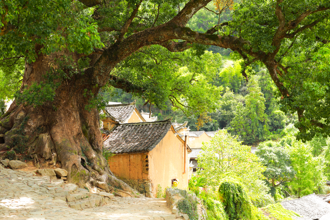 杨家堂村.jpg