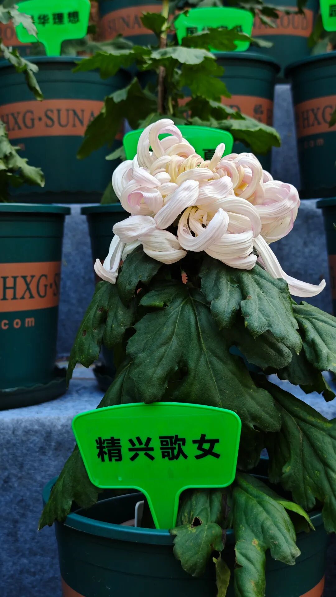 微信图片_20261030095135_746_430.jpg