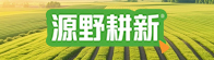 源野耕新