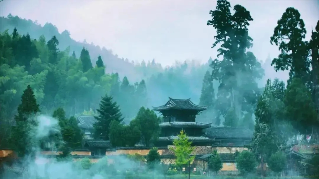 微信图片_20250704074111