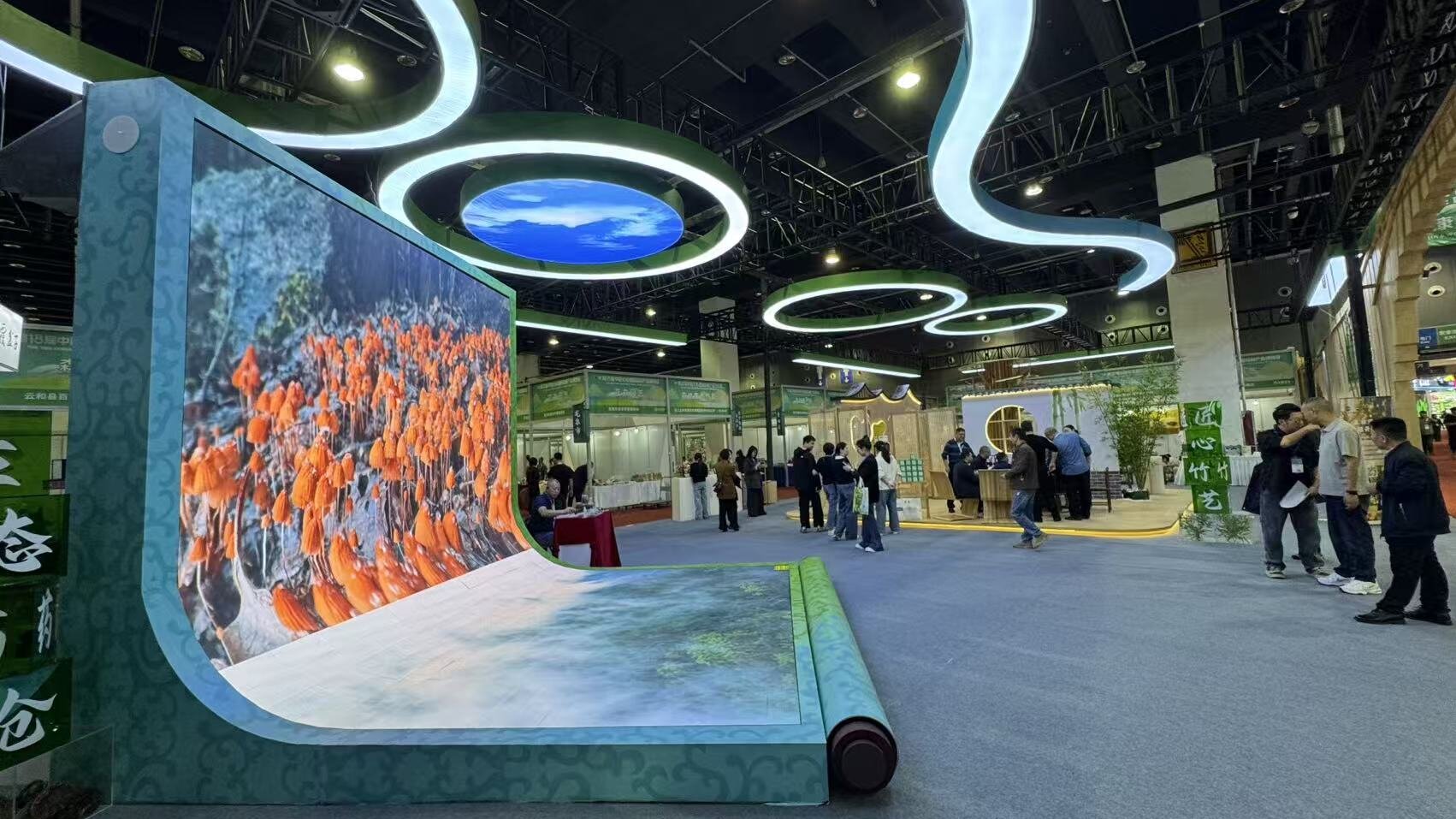 undefined 4548854563bfc2ca938da93ee2c98284