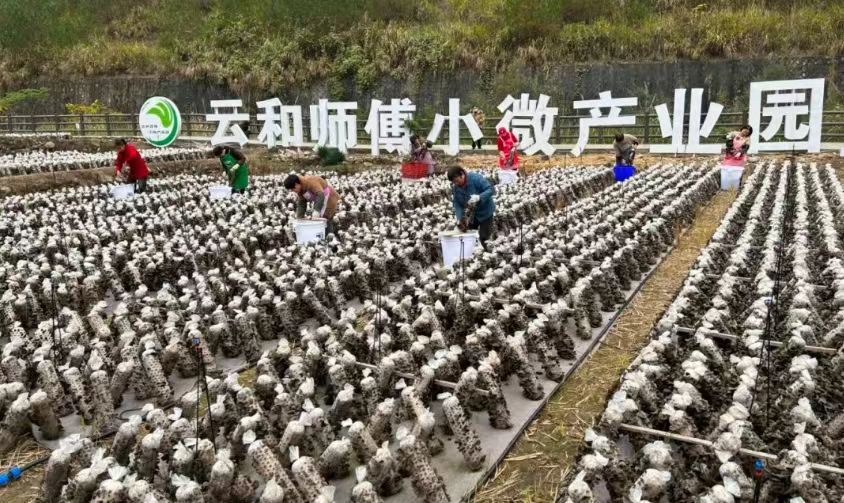 undefined 微信图片_20251103092049_24_661