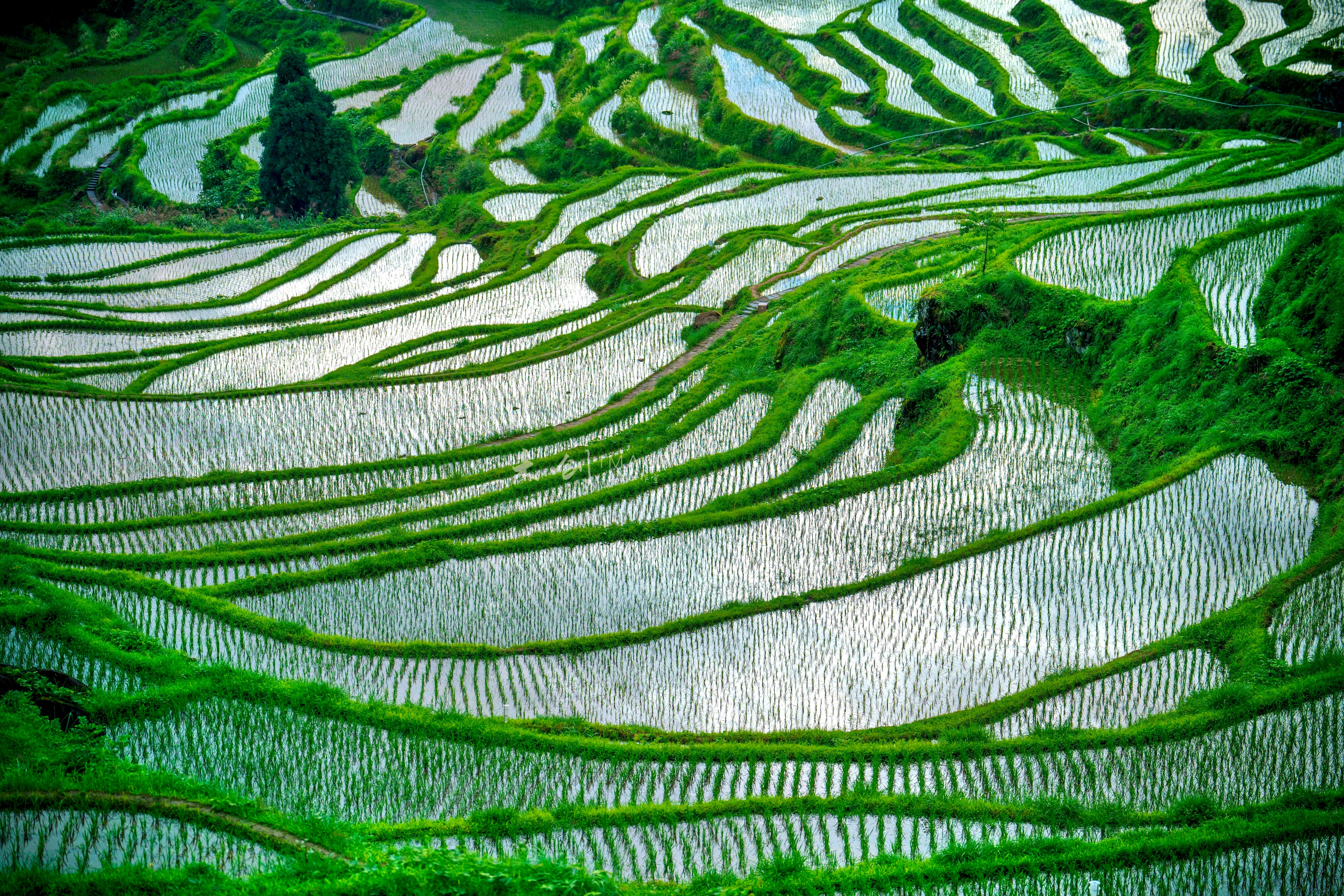 7云和支行授信支持云和梯田景区项目建设