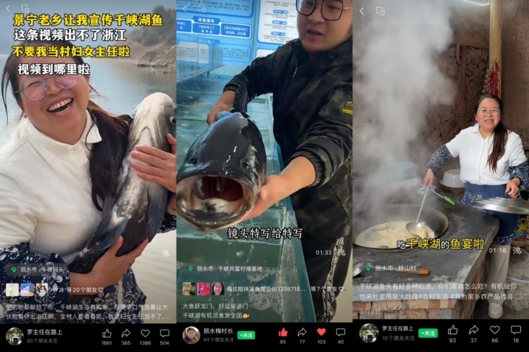 微信图片_20260413081402_10_383