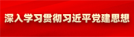 深入学习贯彻习近平党建思想