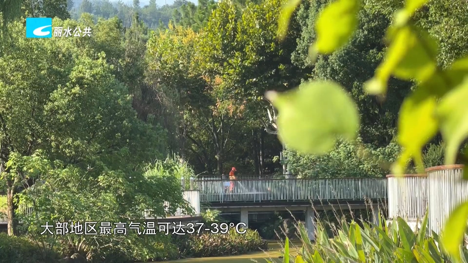 今日出梅迎高温 超强台风“巴威”将影响我市