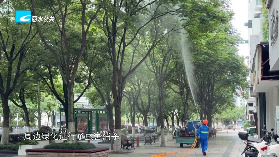 老白帮忙团 有事我帮忙:店铺飞进大量白蚁 老白协调养护单位消杀解忧