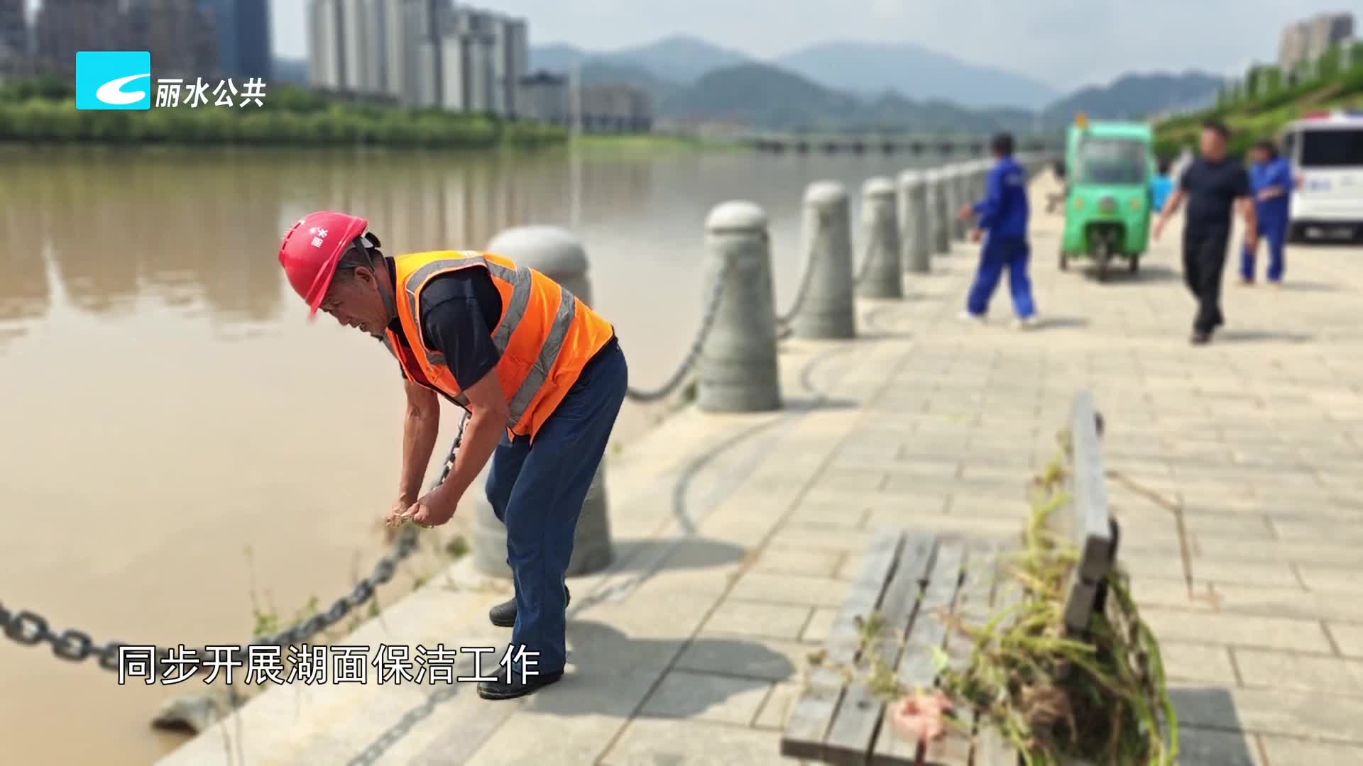 台风过后堤岸淤积严重 多区域同步开展清淤作业
