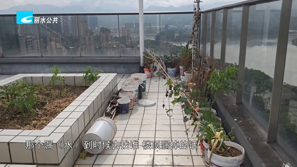 老白帮忙团 有事我帮忙：小区楼顶有人种菜 业主有担忧