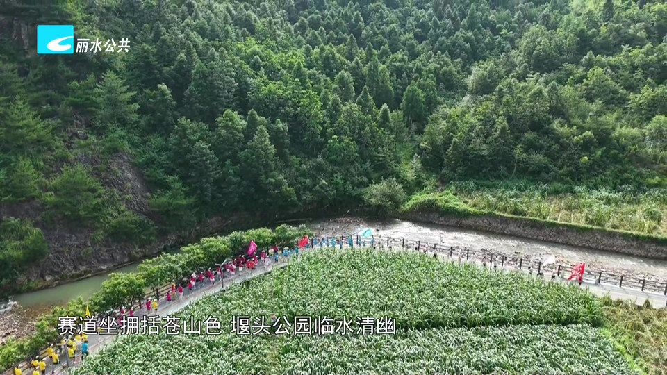 酷暑难挡运动热情 赛场活力持续升温
