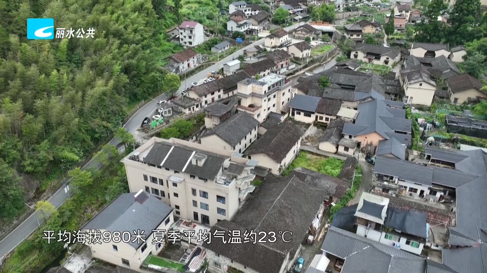 夏日寻凉丨云和黄家畲村:凉资源变热财富 避暑旅居带旺乡村共富路