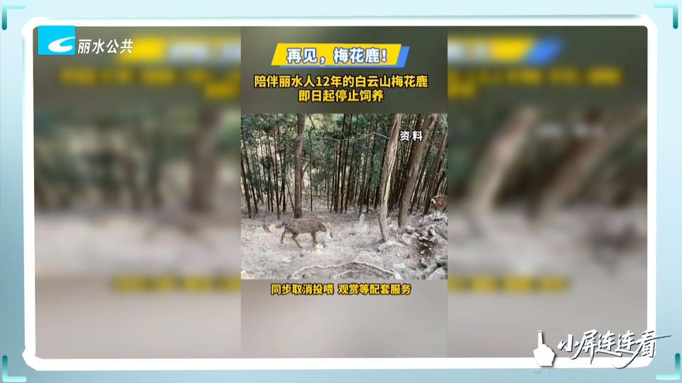 小屏连连看丨再见 梅花鹿