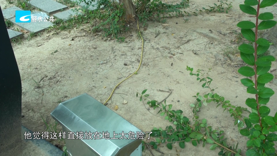 老白帮忙团 有事我帮忙：公园电线长期拖地 市民游玩存安全隐患