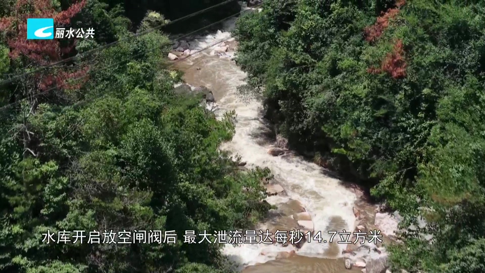 抢抓“窗口期” 筑牢“安全堤”：丽水各地全力迎战台风“白海豚”