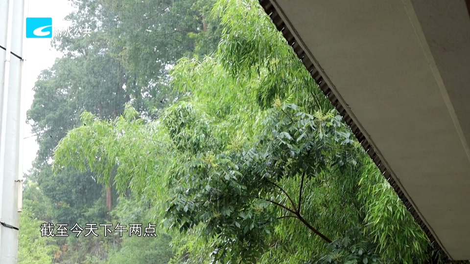 台风“白海豚”离境入赣 丽水风雨未止仍需防范次生灾害