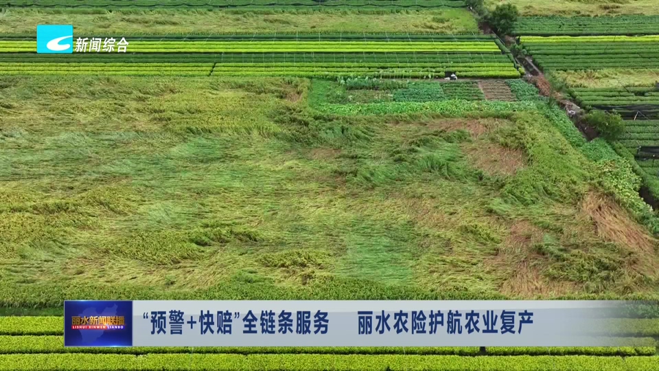 “预警+快赔”全链条服务 丽水农险护航农业复产