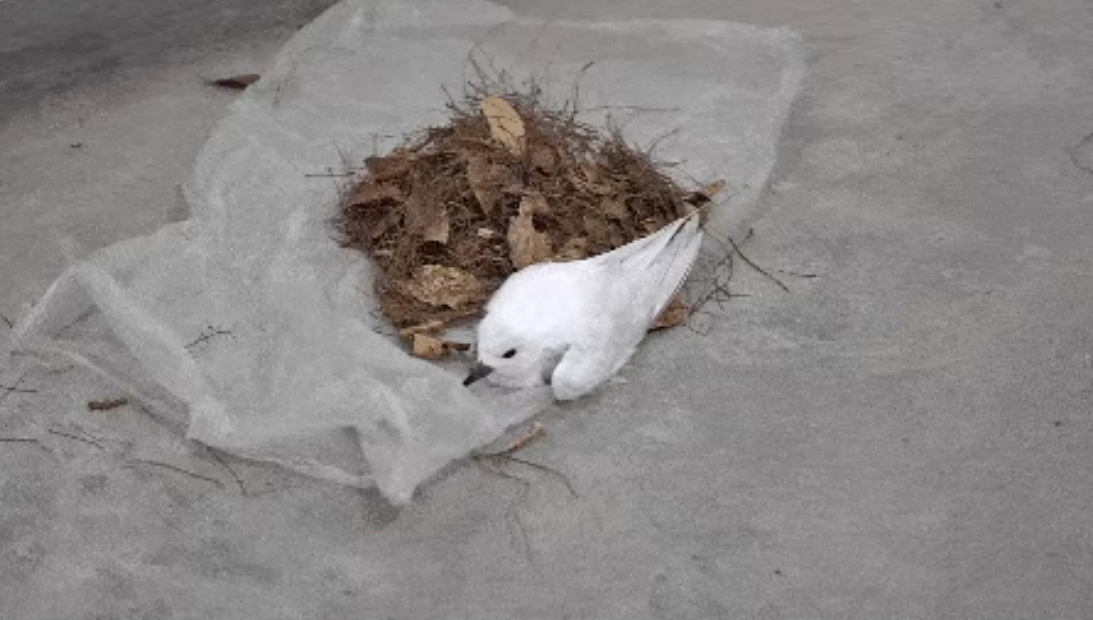 微信图片_20260814095243_76_383