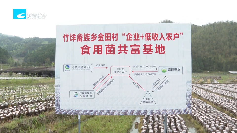 央媒头条近日高频聚焦“丽水共富”