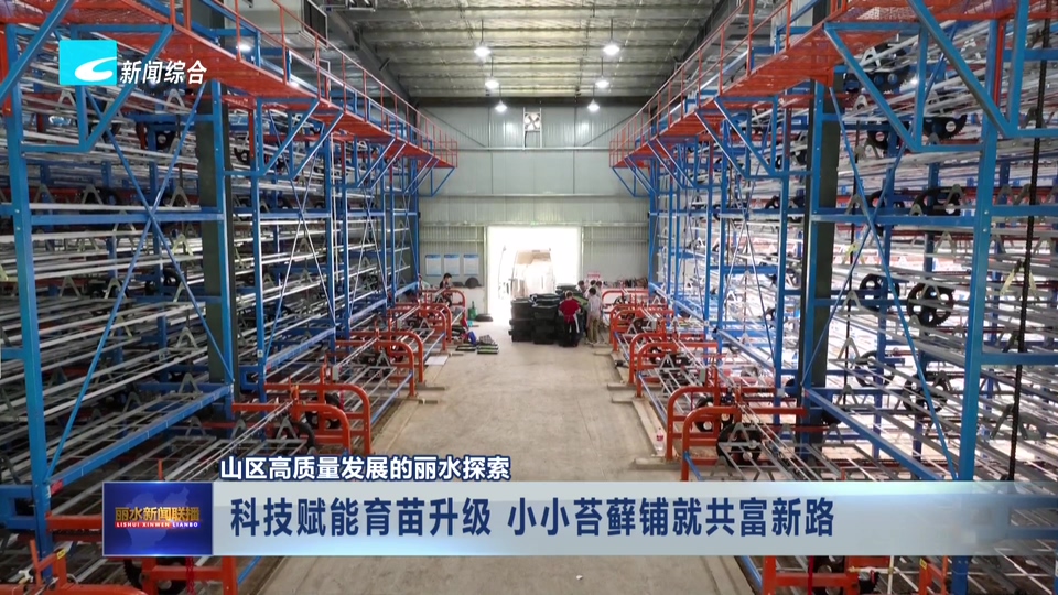 山区高质量发展的丽水探索丨科技赋能育苗升级 小小苔藓铺就共富新路