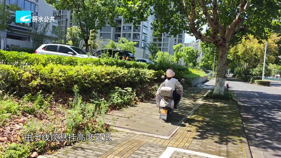 老白帮忙团 有事我帮忙：线缆垂落存隐患 电信整改入地除风险