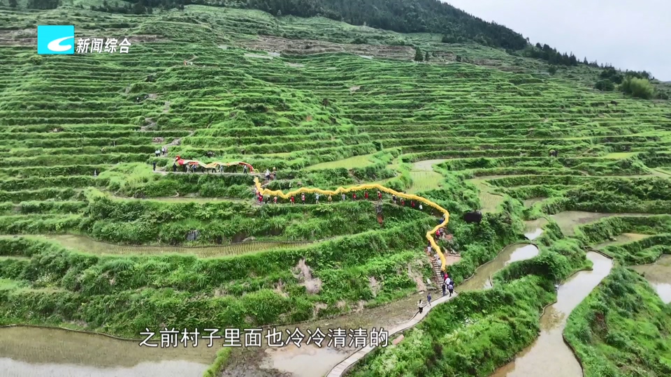 空心村重生录丨梯田复耕+村播带货 畲乡景宁走出兴村富民路
