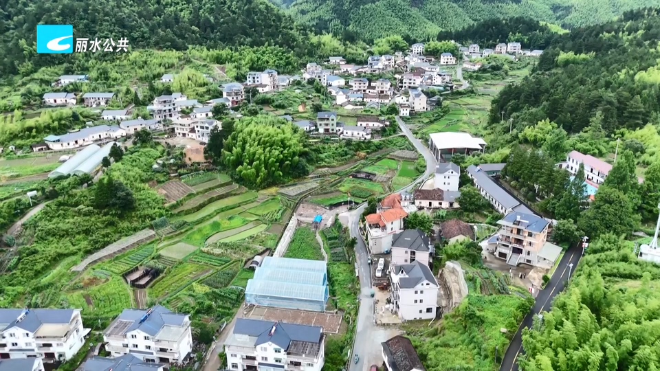 “95后”退役军人包林俊：扎根绿水青山绘就乡村共富新答卷