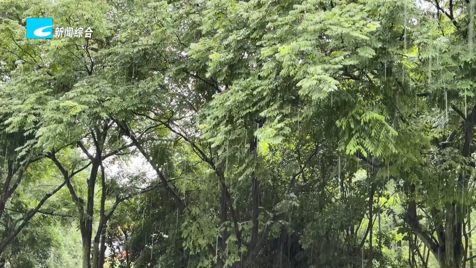 我市启动防汛IV级应急响应