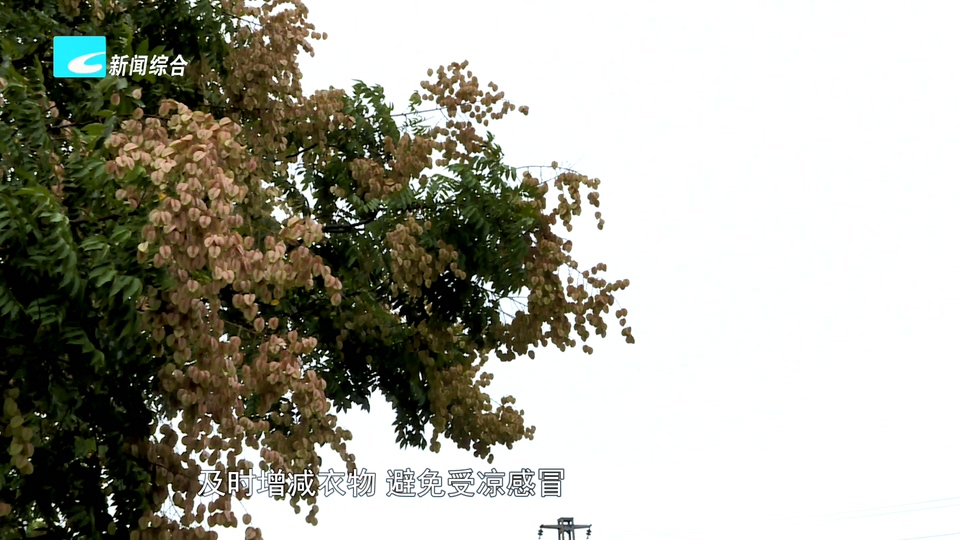 本周天气平稳舒适 周末警惕午后雷阵雨