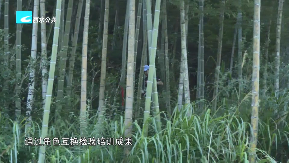 “百山祖杯”首届户外裁判员爬坡赛在庆元举行