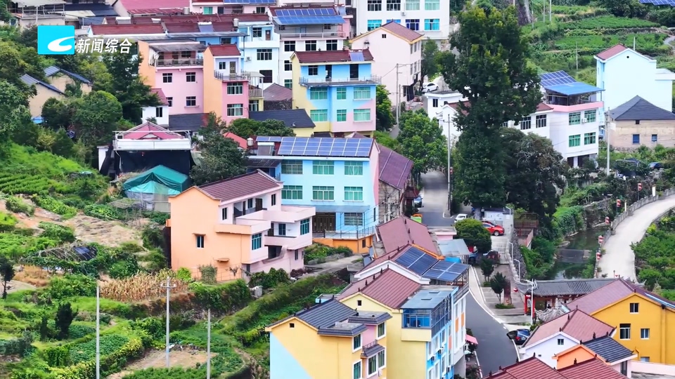 “空心村”重生录丨新西坑村有了新色彩