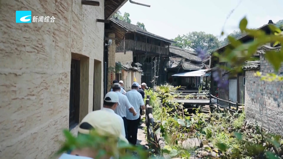 丽水共富这五年丨秀山丽水共富路(二):专业运营激发“兴村”潜能