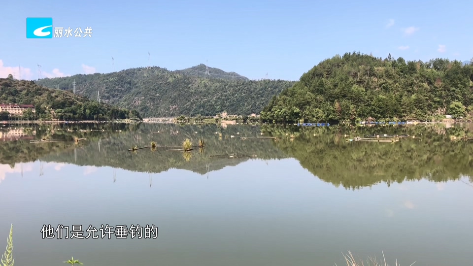 老白帮忙团 有事我帮忙：水库捕鱼引质疑 禁渔范围看仔细