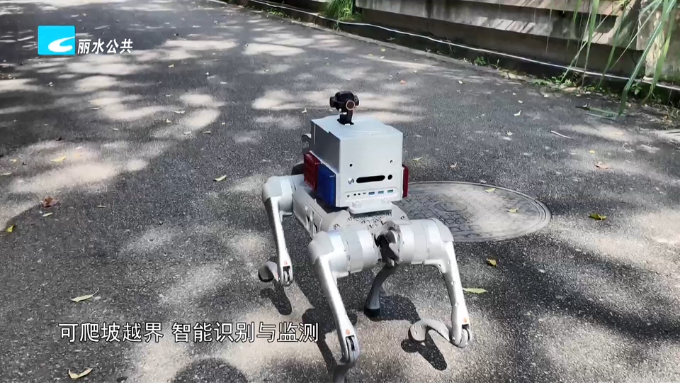 机器狗来上班 莲都厂区开启智慧巡检新模式