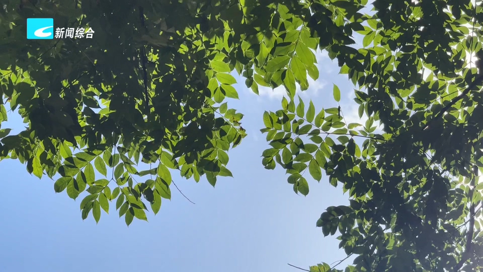 本周气温总体平稳 后期需关注台风动向