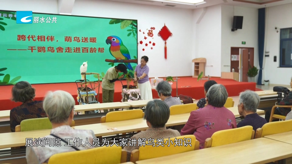 缙云县千鹦鸟舍公益活动走进养老院