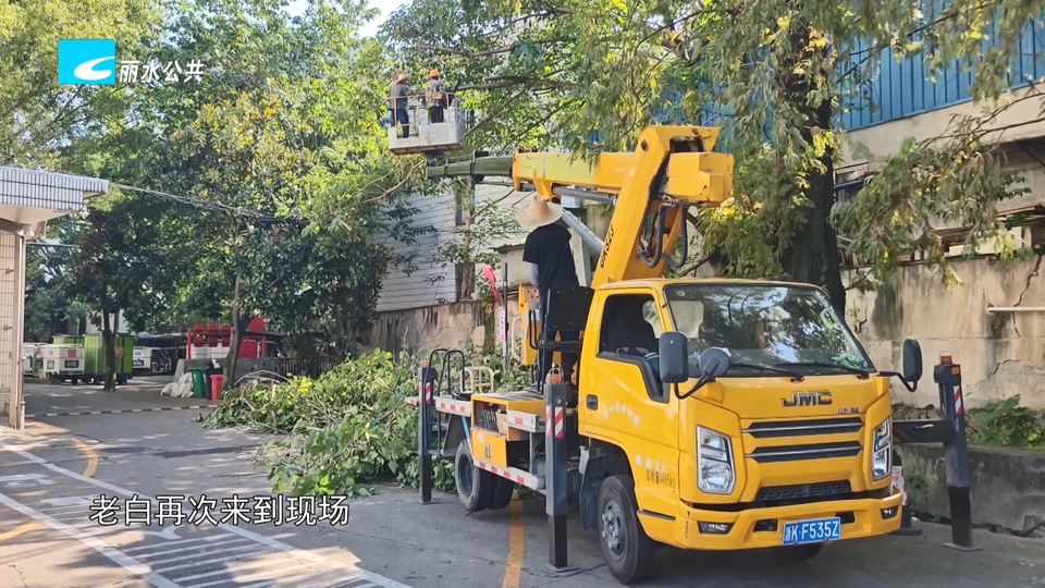 老白帮忙团 有事我帮忙 后续:大树倒伏压仓库 社区牵头除隐患