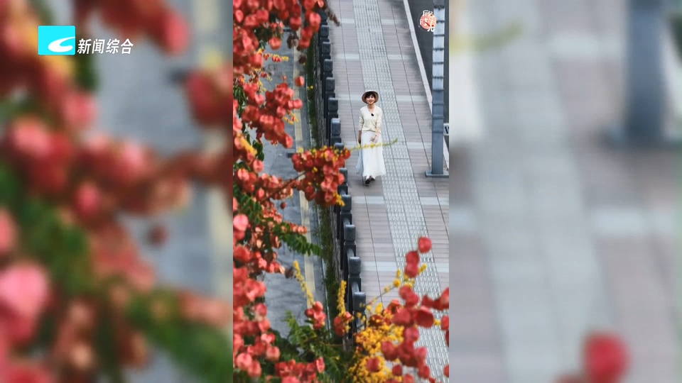 融·视界：秋日栾树氛围感拍照小技巧
