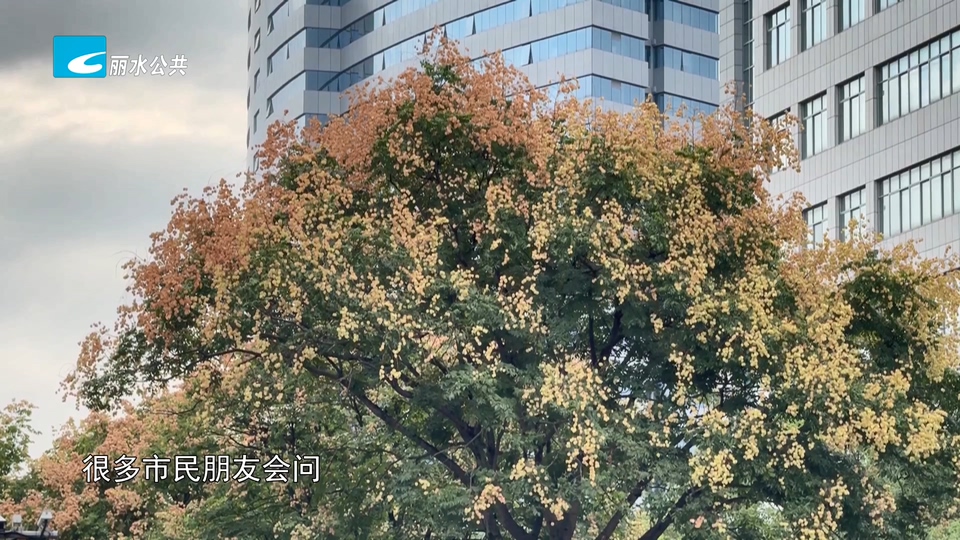 中秋假期我市天气不错 晚上宜赏月