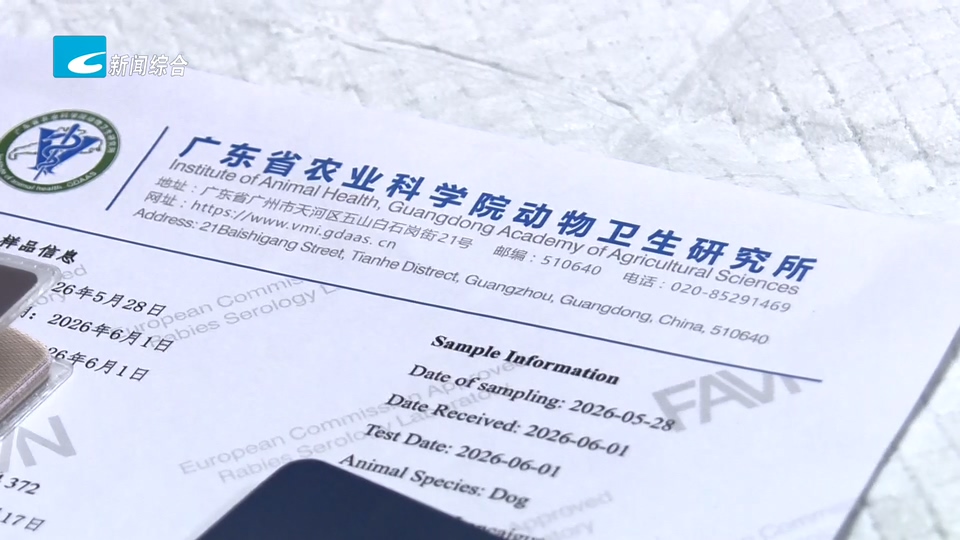 联播快讯丨市民携宠出境实现“家门口办证”