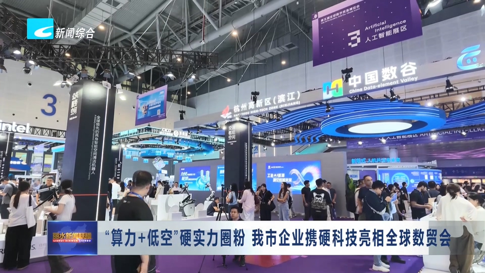 “算力+低空”硬实力圈粉 我市企业携硬科技亮相全球数贸会