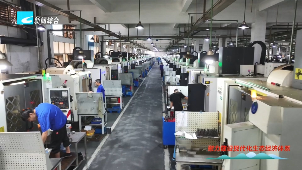 聚力建设现代化生态经济体系丨AEO“绿色通行证”赋能外贸 丽水海关助企扬帆出海