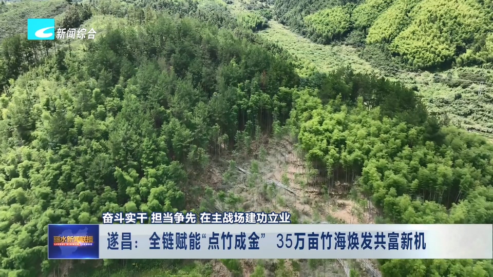奋斗实干 担当争先 在主战场建功立业丨遂昌:全链赋能“点竹成金” 35万亩竹海焕发共富新机