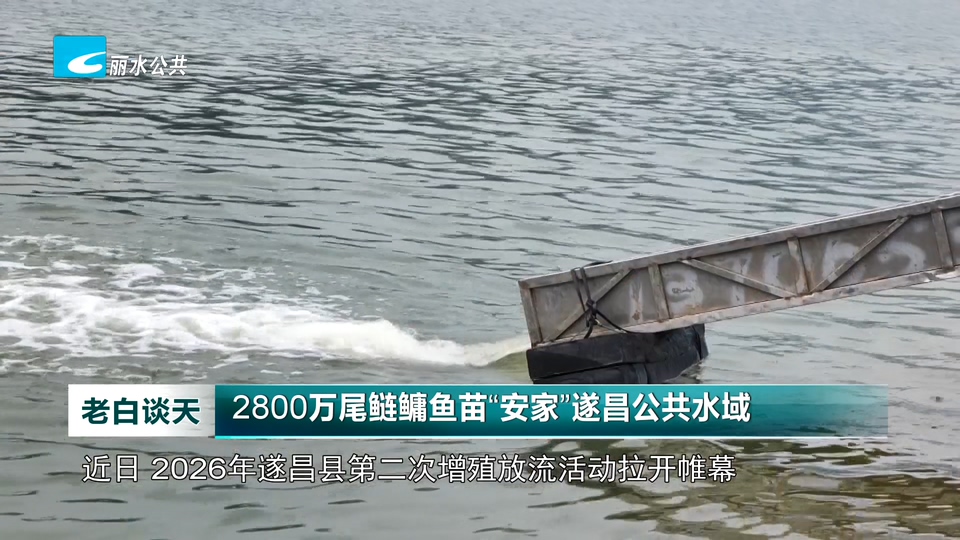 2800万尾鲢鳙鱼苗“安家”遂昌公共水域