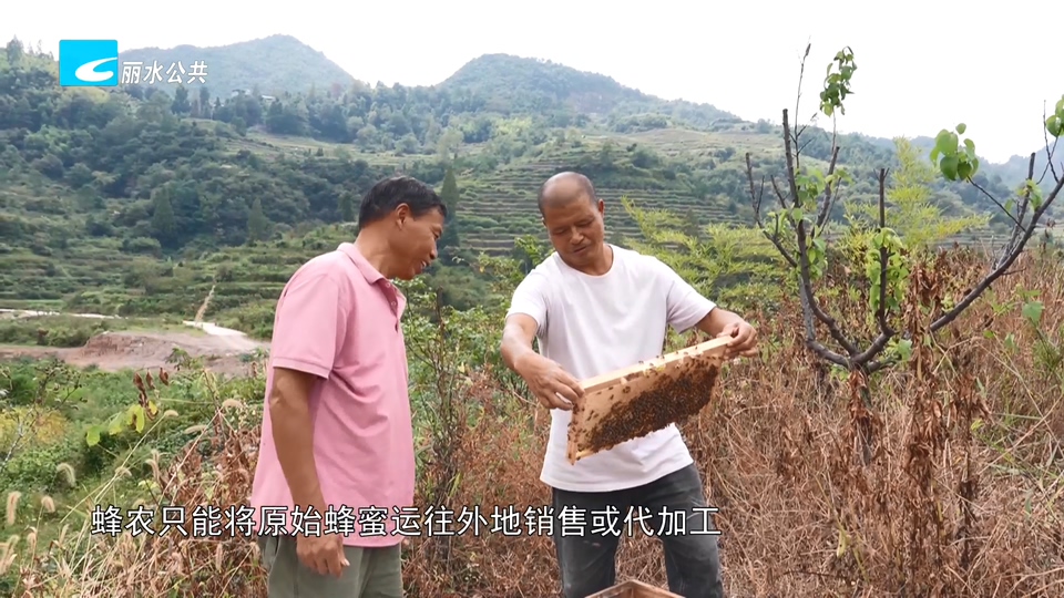 “博士蜜”添新装备  蜂农增收更省心