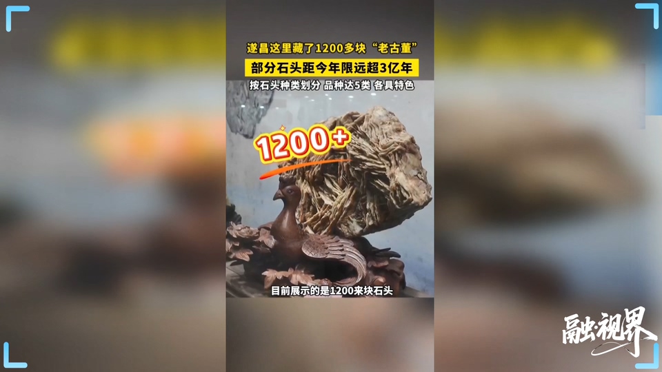 融·视界丨遂昌石文化博物馆千余块亿年奇石等您来赏