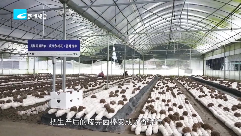 让企业站C位丨至农科技:废菌棒变有机肥 打通菌菇产业绿色循环链