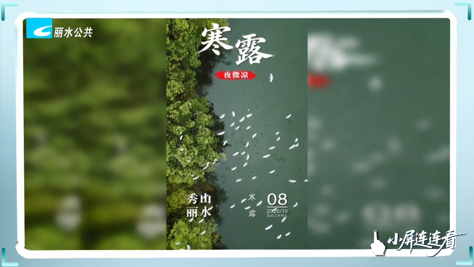 小屏连连看丨寒露至 秋意浓