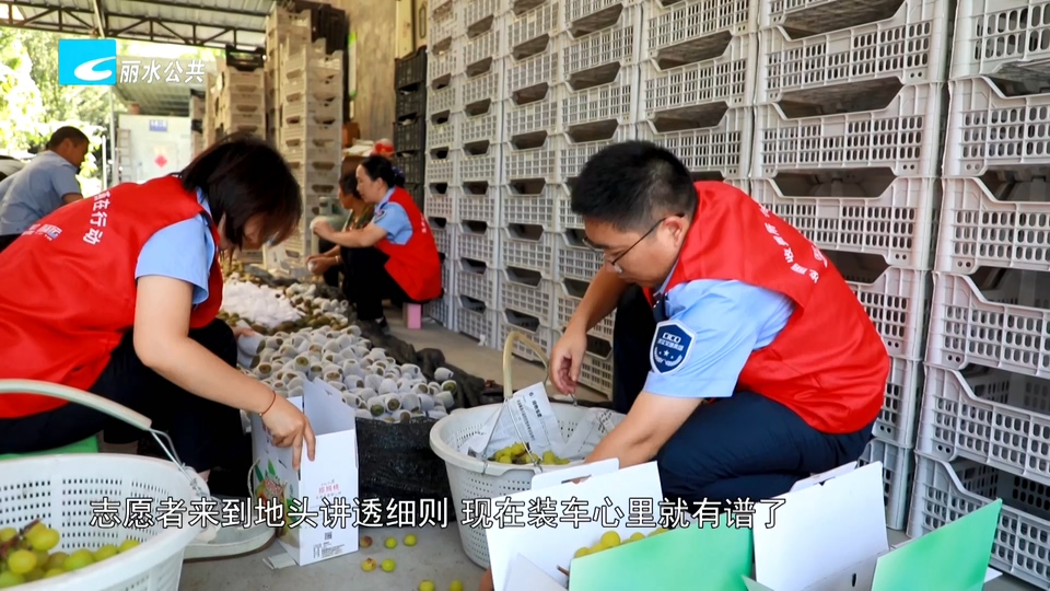 秀山丽水 一座有爱的城市:高速“小燕”飞到田头 服务送到果园里